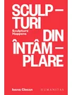 Sculpturi din intamplare