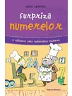 Surpriza numerelor