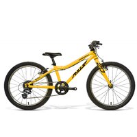 Bicicleta copii AMULET 20 Speedy 2022 - Galben/Negru