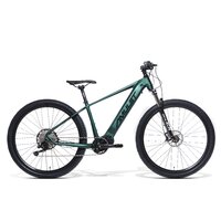 Bicicleta electrica Amulet 29' eRival 5.0 racing green/black, 2022