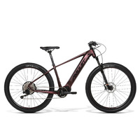 Bicicleta Electrica Amulet  eRival 5.5 SH, Roti 29 Inch, Orient Black, Red 2023