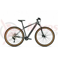 Bicicleta Focus Whistler 3.7 29 Toronto Grey 2021