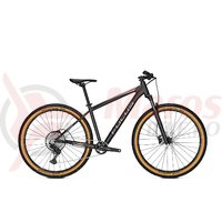 Bicicleta Focus Whistler 3.9 29