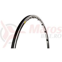 Janta Mavic Ksyrium SL 20 gauri