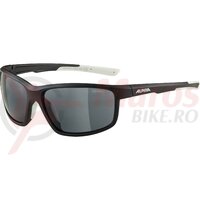 Ochelari Alpina DEFEY black matt-white C