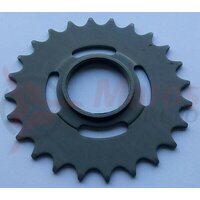Pinion 24T, Velosteel, cu filet