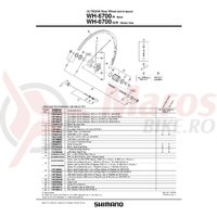 Spita Shimano WH-6700-R Dreapta 304mm + Capat & Saiba