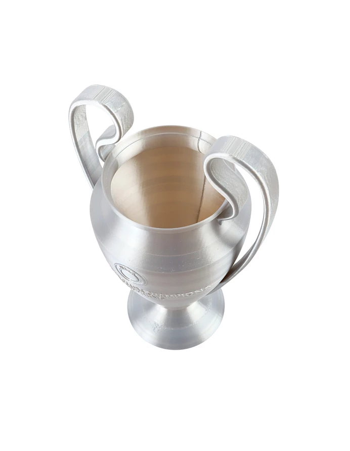 Trofeu Liga Campionilor UEFA, Champions League UCL picture - 3