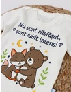 Body MS, Nu sunt Rasfatat, ecru-albastru picture - 3