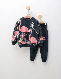 Compleu Flamingo, gri-roz