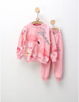 Compleu Flamingo, roz