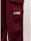 Pantaloni imblaniti, Cargo Ainck Tactics, burgundy picture - 2