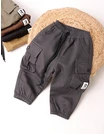 Pantaloni imblaniti Remus gri inchis picture - 6
