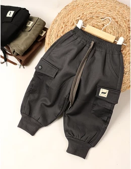 Pantaloni imblaniti Theodor gri