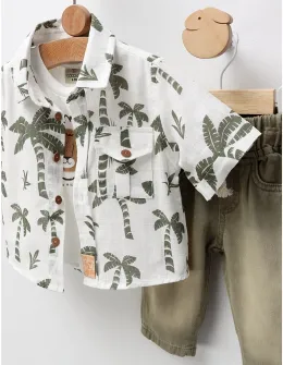 Set premium Summer palmier verde