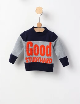 Pulover GOOD STUDYHARD albastru-gri