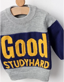 Pulover GOOD STUDYHARD gri-albastru