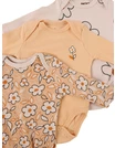 Set 3 body, Musetel, multicolor picture - 3