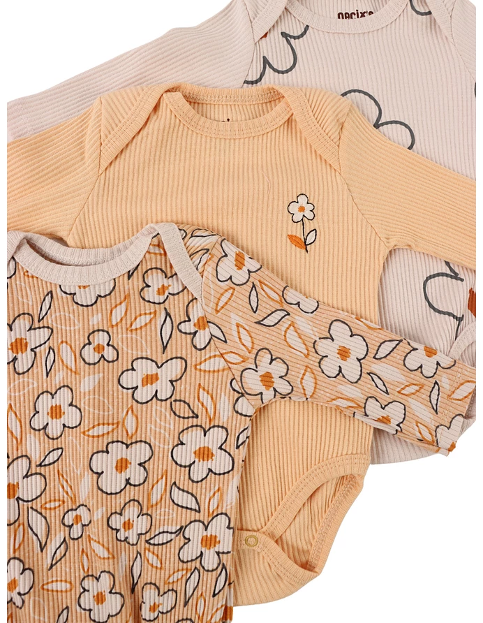 Set 3 body, Musetel, multicolor picture - 3
