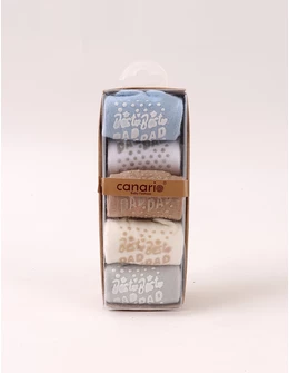 Set 5 perechi sosete BEST DAD baietei