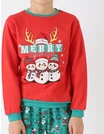 Set Merry Christmas Family, rosu-verde picture - 7