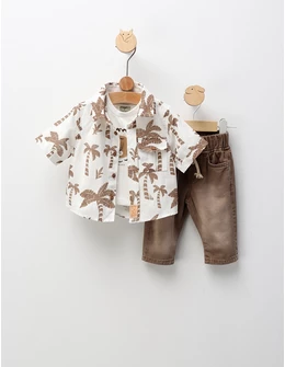 Set premium Summer palmier maro