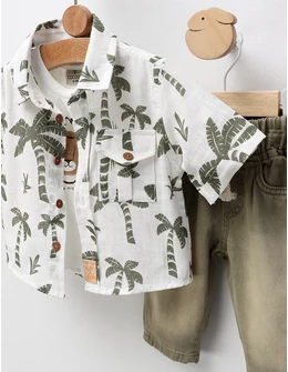Set premium Summer palmier verde