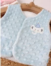 Vesta bebe minky elefant blue picture - 2