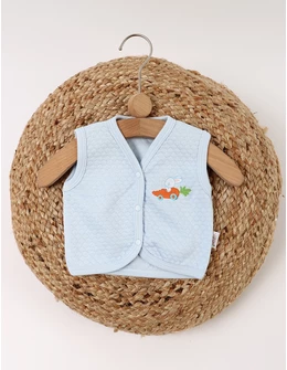 Vesta grofata, Race Rabbit, blue