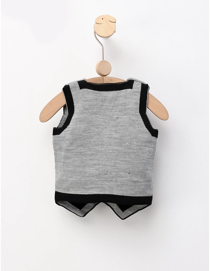 Vesta pna masinuta-stele model gri picture - 3