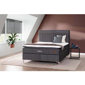 Pat Terry, tăblie tapițată, ladă depozitare, design modern, stofă catifelată premium, 160x200 cm, Gri