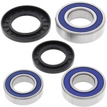 Kit rulmenti si garnituri roata All Balls Racing  WB25-1634