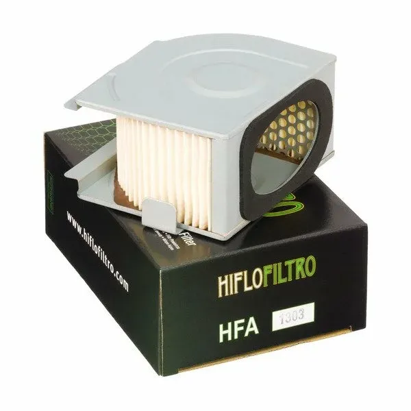 Filtru de aer HIFLOFILTRO  HFA1303 picture - 1