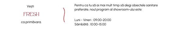 Program nou showroom