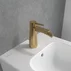 Baterie bideu Villeroy&Boch Conum monocomanda auriu periat picture - 1