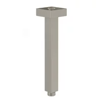 Brat de dus Villeroy&Boch Universal 22 cm nichel periat cu montare pe tavan