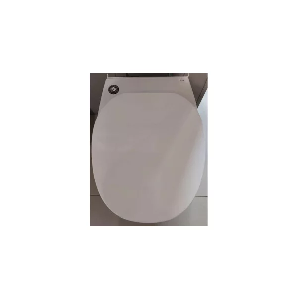 Capac wc softclose Rak Ceramics Morning picture - 4