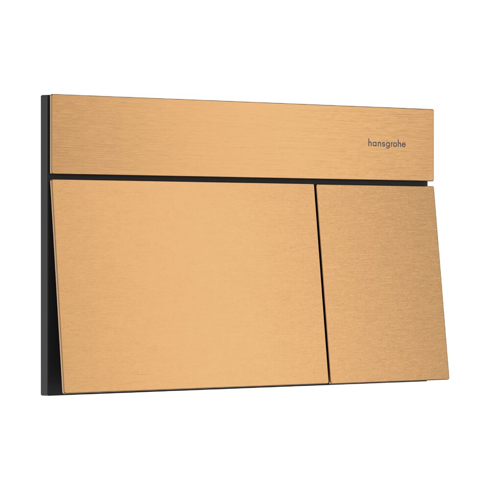 Clapeta de actionare Hansgrohe iFrame Element E bronz periat