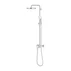 Coloana de dus Grohe Tempesta 250 finisaj crom lucios picture - 3