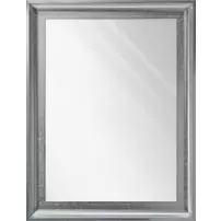 Oglinda Ars Longa Torino argintiu 72x132