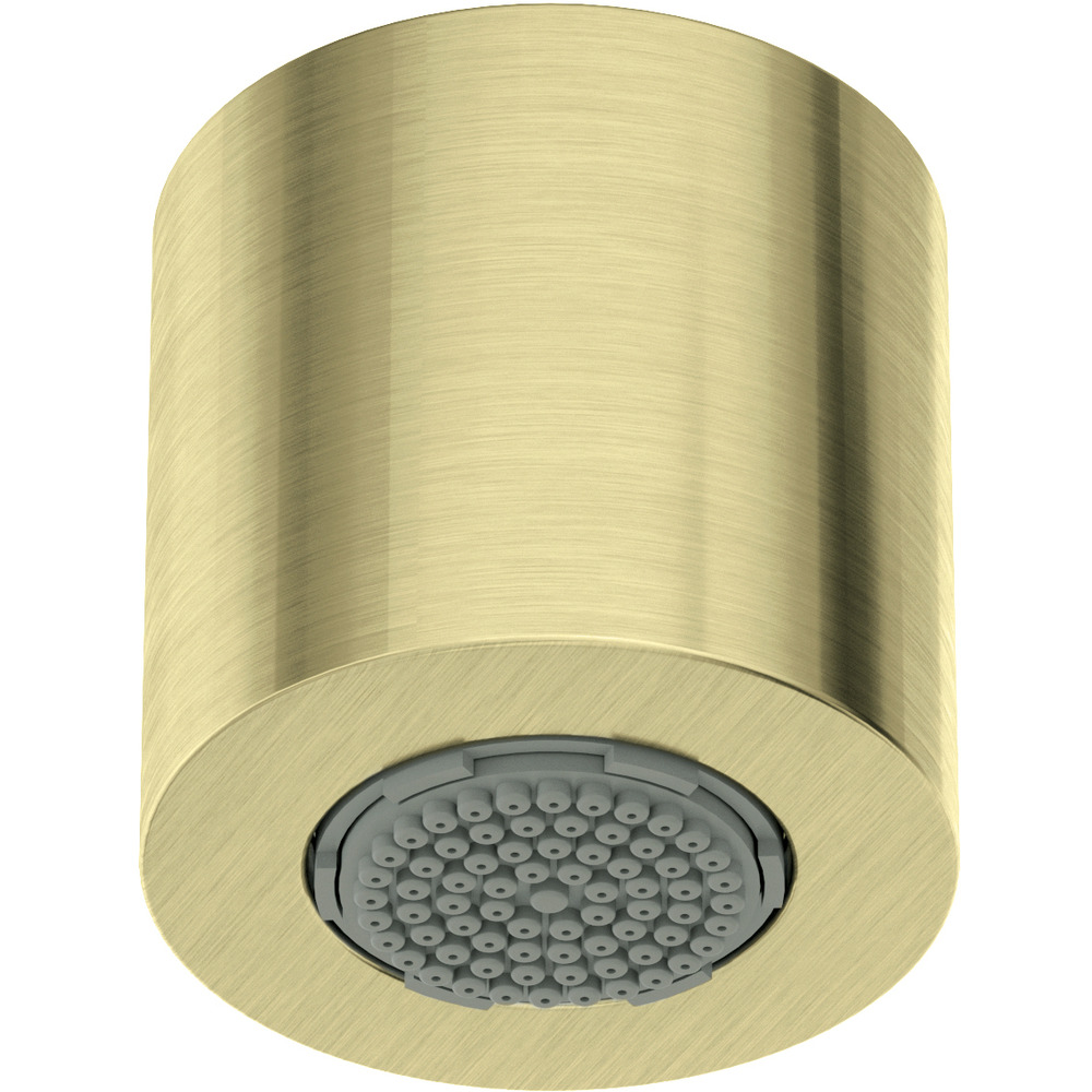 Palarie de dus fixa Deante 4,2 cm auriu