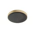 Palarie de dus Hansgrohe Rainfinity 360 bronz periat 1 functie picture - 1