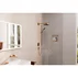Palarie de dus Hansgrohe Rainfinity 360 bronz periat 1 functie picture - 2