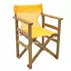 Panza perforata Pakoworld pentru scaune tip director galben picture - 2