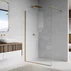 Paravan de dus tip Walk-in auriu periat SanSwiss Easy STR4P 100x200 cm picture - 1
