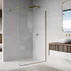 Paravan de dus tip Walk-in auriu periat SanSwiss Easy STR4P 80x200 cm picture - 2
