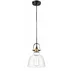 Pendul Maytoni Irving negru/transparent 1 bec picture - 1
