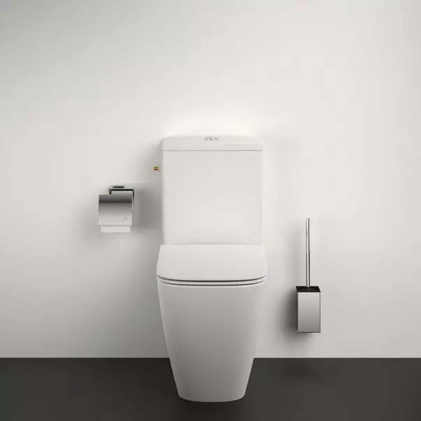 Perie WC Ideal Standard IOM picture - 2