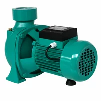 Pompa de suprafata Progarden THF5A 3