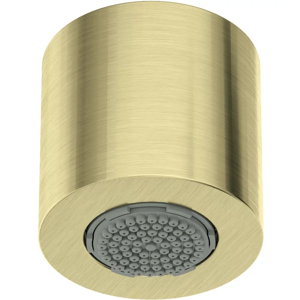 Palarie de dus fixa Deante 4,2 cm auriu